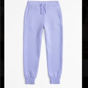 Abercrombie & Fitch Purple Jogger Pants